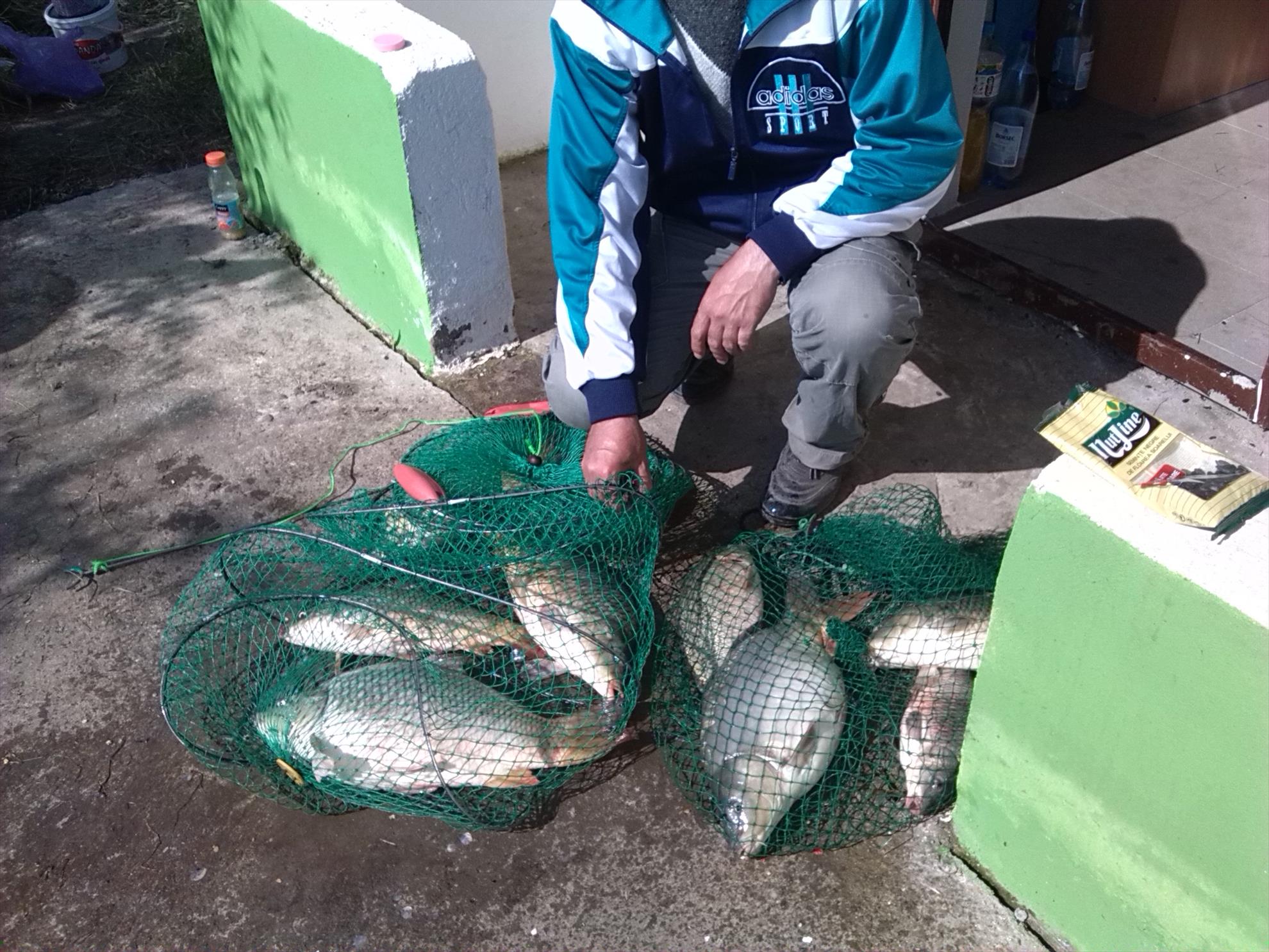 lilieci teleorman - img20140501162816.jpg